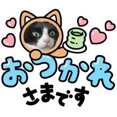 麦との生活3