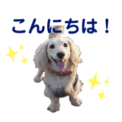 mayu_20250306235514