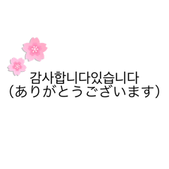 yokko_20250306220727