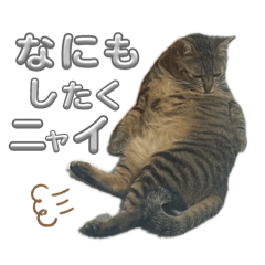Natsumi_20250307005524