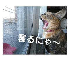 チロマブ画像スタンプ