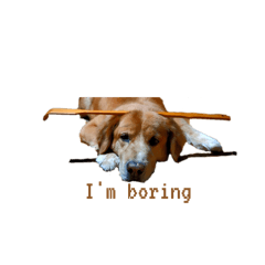 Mii_20250306181927