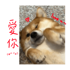 橘子菅田的朋友們