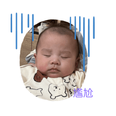 允豪