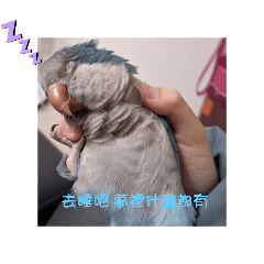 飯糰日常two