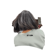 萱的回眸