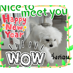 tyfufhtght_20250307144643