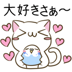 Cat & parakeet of Yamanashi dialect