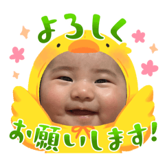iroha_20250307203628