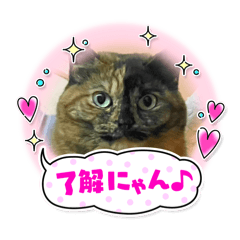 airi_20250307163955