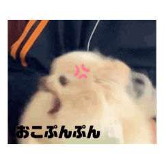 matsushita_20250307170942