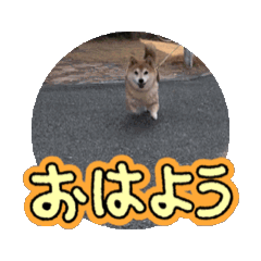 MOMOKA_20250307194135