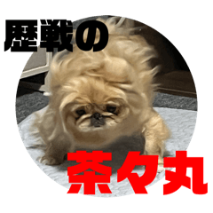 yuki_20250307144740