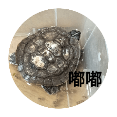 啦啦啦啦啦啦啦啦嘟