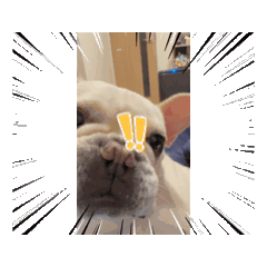 don_20250308084933