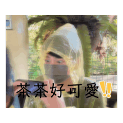 某青蛙