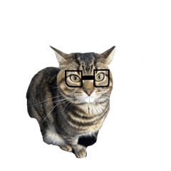 SALT_20250307223727