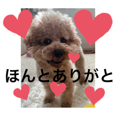 yoko_20250307222754