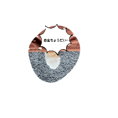 sachi_20250307182409