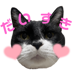 ayaka_20250308001915