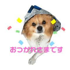 natsu_20250307222118