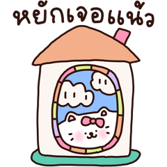 chubby cat sweet hard