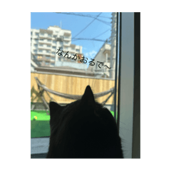 ryu_20250308100522
