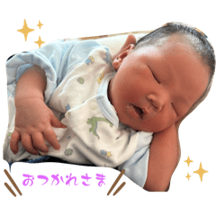 nami_20250308053722