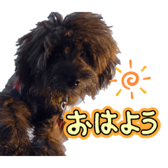 yuki_20250307231940