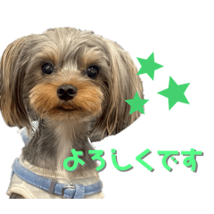 Negi_20250308011917