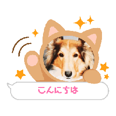 raika_20250308132625
