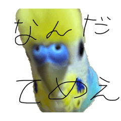 Uchinoarare