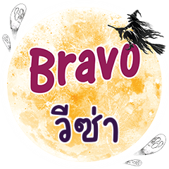 VISA2 Bravo One word