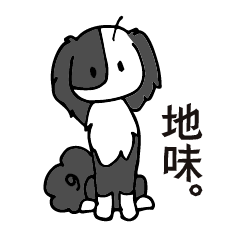 白黒の片パンダ犬