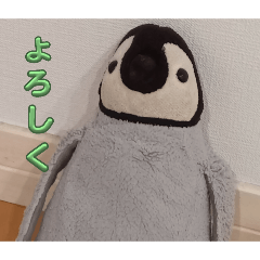 penguin_20250307192833