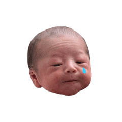 koto_20250308050111