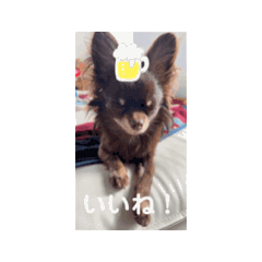 Kihana_20250308144827