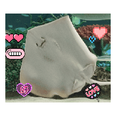 Somas_20250308140756