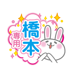 Cute Rabbit Conversation for Hashimoto