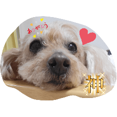suzu_20250308004106