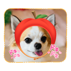 miko_20250308004834