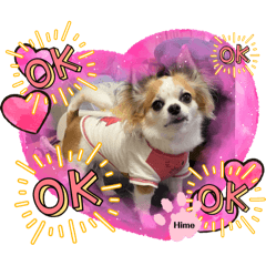 miko_20250308004721