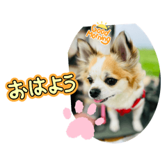 miko_20250308004649