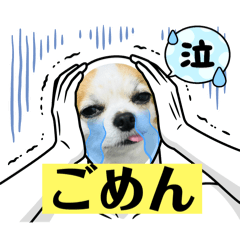 miko_20250308004545