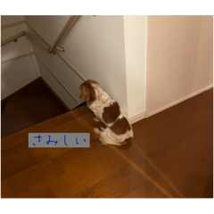Hi_20250308004809
