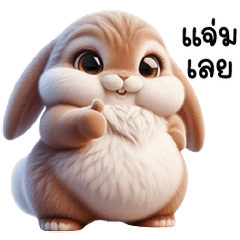 Little lop rabbit, fluffy, chubby, cute