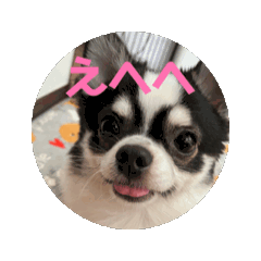 Misaki_20250309032123