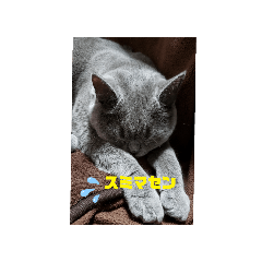 mi_20250308134832