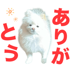 fuwa_20250308140024