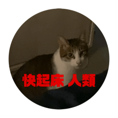 諾諾鼠與啡啡貓